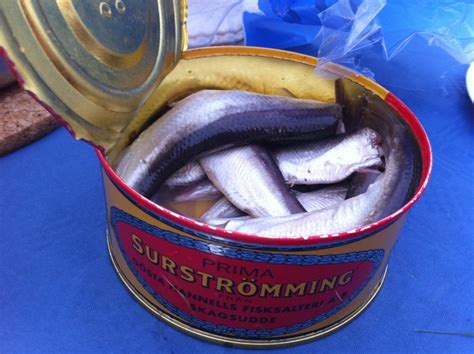 worst smelling fish in a can|Swedish Surströmming: The Worlds Smelliest Food